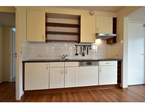 chalet-kaufen-summio-park-aquadelta-bruinisse-niederlande-kueche-mit-geschirrspueler-2025