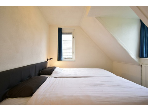 chalet-kaufen-summio-park-aquadelta-bruinisse-niederlande-drittes-schlafzimmer-doppelbett-2025