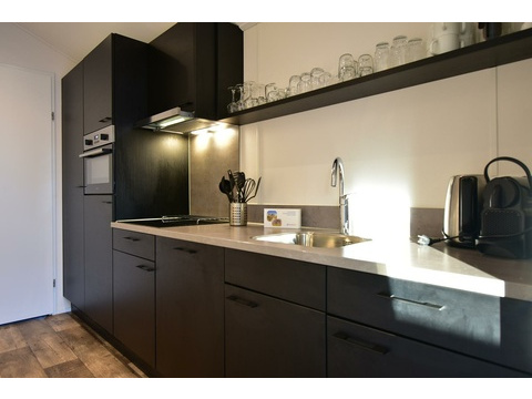 chalet-kaufen-europarcs-kaatsheuvel-moderne-küche-2025