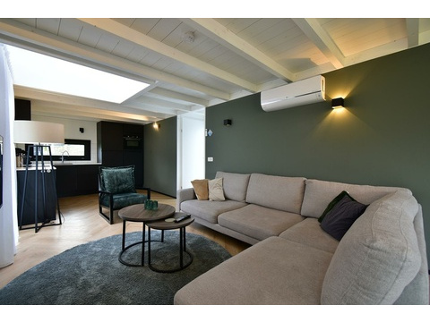 ferienhaus-kaufen-lakeside-resort-brielle-zwartewaal-wohnzimmer-kueche-klimaanlage-2026