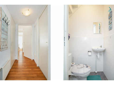 moderne-toilette-und-sanitaer-unten-lxry-property.jpg