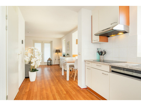 kuechenzeile-mit-spuelmaschine-und-induktion-lxry-property.jpg