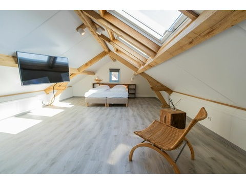 Ferienhaus Renesse kaufen01