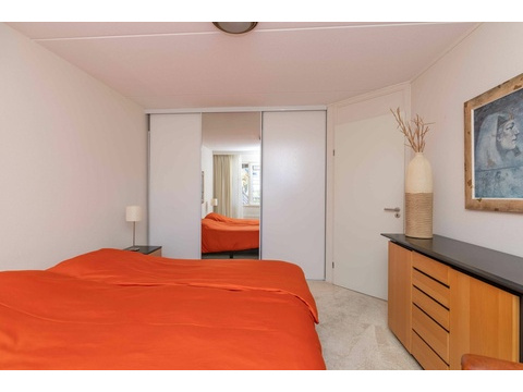 Ferienhaus-Holland-kaufen-jpg.022