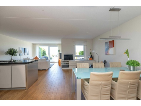Ferienhaus-Holland-kaufen-jpg.012