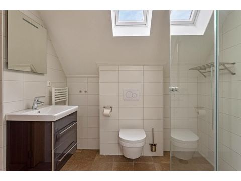 kaufen-freistehendes-ferienhaus-wolphaartsdijk-badezimmer-sauna-recreatieadviseurs...