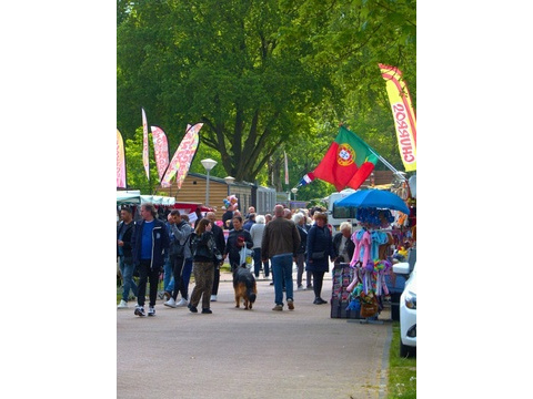 Kaufen-Freistehendes-Ferienhaus-Kropswolde-nl.jpg012