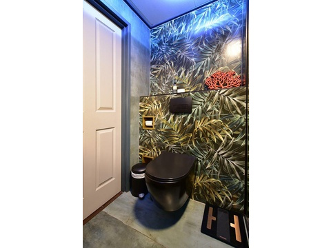 kaufen-freistehendes-ferienhaus-doornspijk-toilette-erstes-badezimmer-mattschwarz-design...