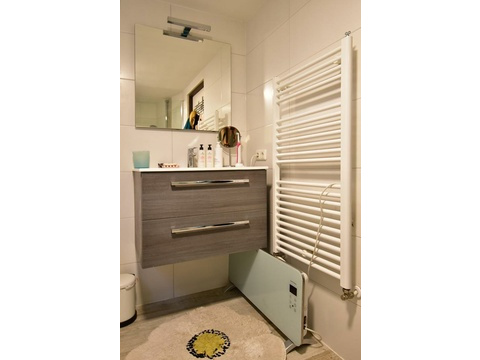 kaufen-freistehendes-ferienhaus-doornspijk-badezimmer-oben-waschtisch-designheizkoerper...