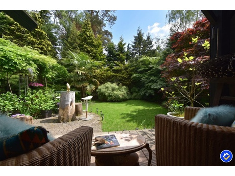 kaufen-freistehendes-ferienhaus-doornspijk-waldgarten-privatsphaere-recreatieadviseurs...