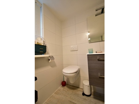 kaufen-freistehendes-ferienhaus-doornspijk-toilette-badezimmer-oben-hänge-wc-recreatieadviseurs...