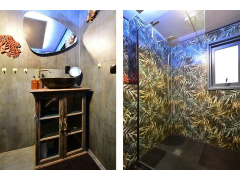 kaufen-freistehendes-ferienhaus-doornspijk-diptychon-badezimmer-botanisch-gold-recreatieadviseurs...