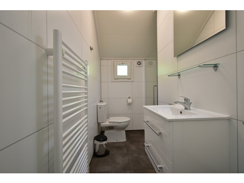 kaufen-freistehendes-ferienhaus-olburgen-modernes-badezimmer-mit-waschtisch-und-begehbarer-dusche...
