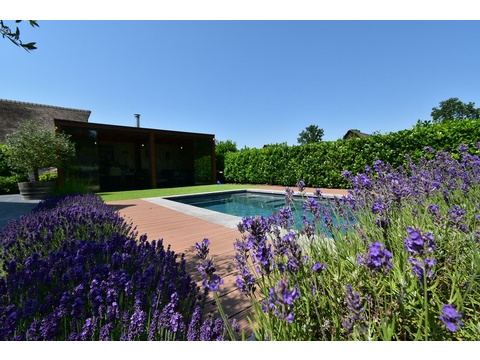 kaufen-freistehende-luxus-ferienvilla-baarle-nassau-blick-swimmingpool-lavendel-recreatieadviseurs...