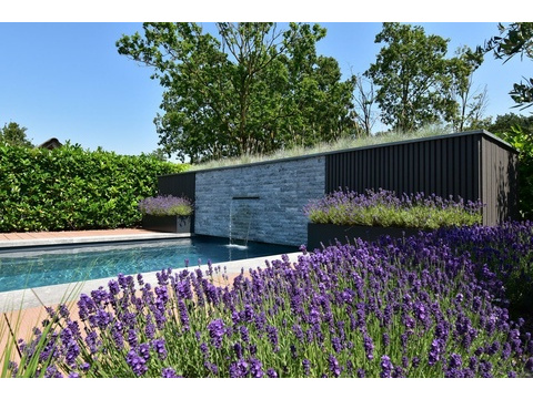 kaufen-freistehende-luxus-ferienvilla-baarle-nassau-swimmingpool-wasserfall-lavendel...