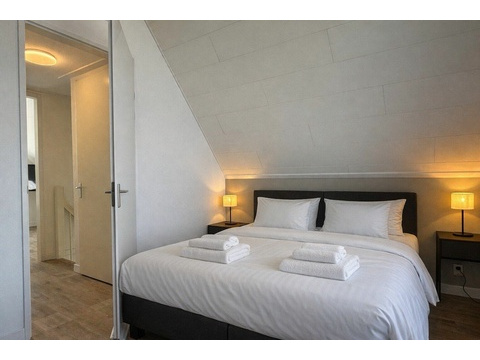 Kaufen-Ferienhaus-Holland-Friesland-vakantiehuistekoop-nl.jpg003