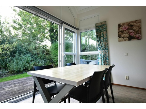 kaufen-freistehendes-ferienhaus-ouddorp-rueckseite-terrasse-hauptfoto-vakantiehuistekoop-nl-prins...