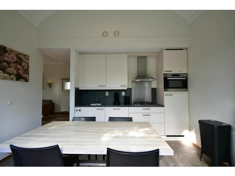 kaufen-freistehendes-ferienhaus-ouddorp-rueckseite-terrasse-hauptfoto-vakantiehuistekoop-nl-prins...