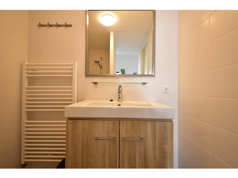 kaufen-freistehendes-ferienhaus-ouddorp-rueckseite-terrasse-hauptfoto-vakantiehuistekoop-nl-prins...