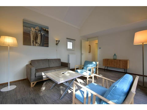 kaufen-freistehendes-ferienhaus-ouddorp-rueckseite-terrasse-hauptfoto-vakantiehuistekoop-nl-prins...