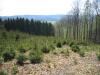Jagd und Forstwirtschaft kaufen in Schmallenberg