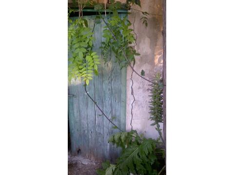 Die Tür vom Bad im Garten