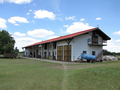 Reiterhof kaufen in Lajosmizse