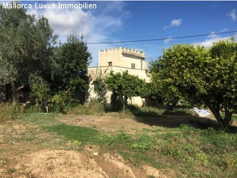 Haus kaufen in Porreres, 3.500 m² Grundstück, 50 m² Wohnfläche, 2 Zimmer