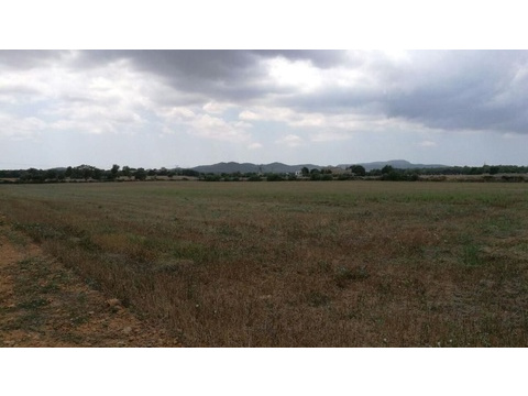 Grundstück kaufen in Porreres, 18.000 m² Grundstück