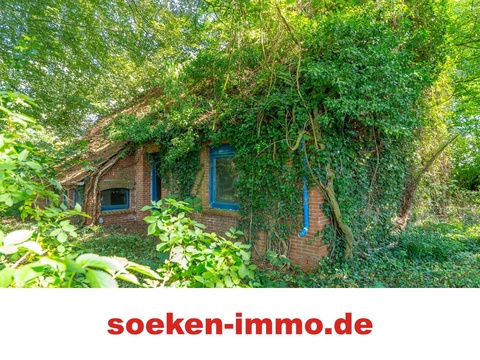 Einfamilienhaus kaufen in Großefehn, 9.996 m² Grundstück, 80 m² Wohnfläche, 3 Zimmer