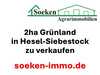 Land Forstwirschaft kaufen in Hesel, 20.399 m² Grundstück