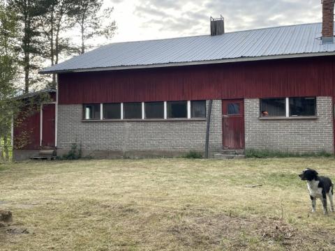 Bild...