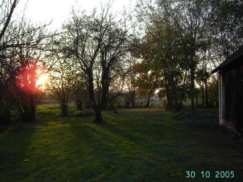 Bild...