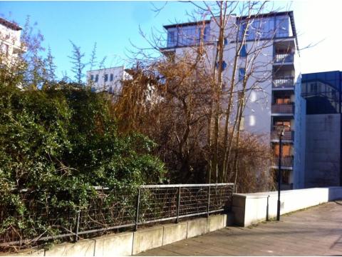 Bürofläche mieten, pachten in Berlin, 50 m² Bürofläche