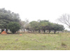 Wohngrundstück kaufen in Mbocayaty del Guairá, 70.000 m² Grundstück
