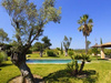 Villa kaufen in Alcúdia, 7.200 m² Grundstück, 200 m² Wohnfläche, 10 Zimmer
