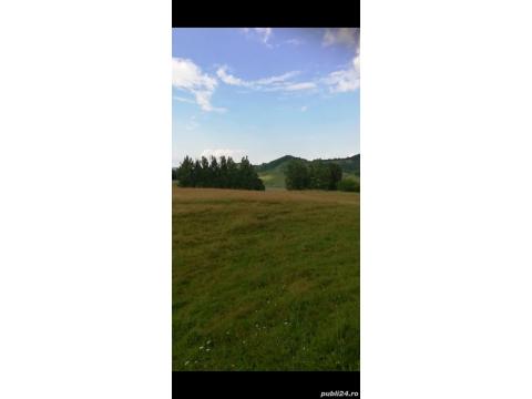 Gemischtes Grundstück kaufen in Mediasch, 42.000 m² Grundstück
