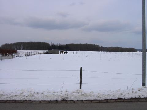 Wohngrundstück kaufen in Bad Münstereifel, 600 m² Grundstück