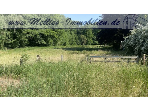 Wohngrundstück kaufen in Dannenberg, 5.508 m² Grundstück