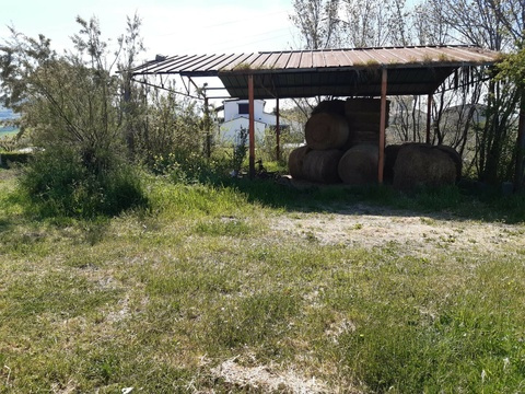 Resthof kaufen in Reille, mit Stellplatz, 6 Zimmer