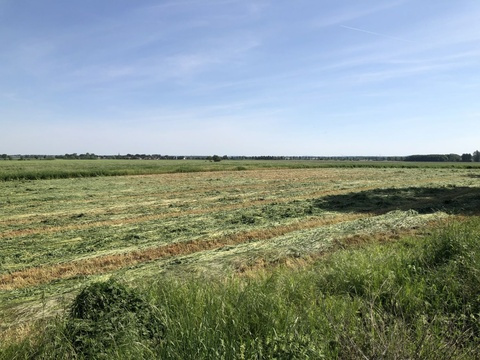 Blick von der hinteren Grundstücksgrenze