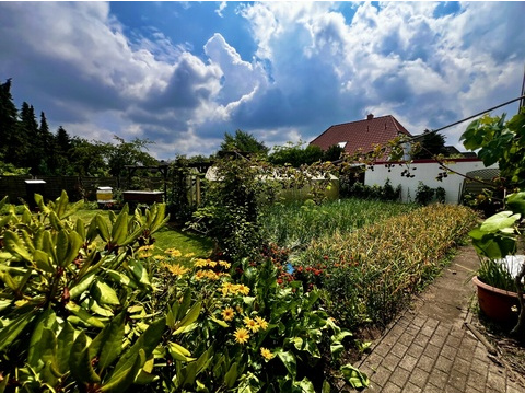 gute Ernte