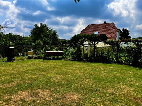 zentrale Wiese
