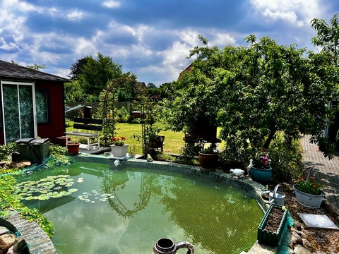 Teich mit Gartenhaus
