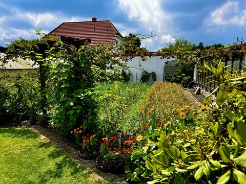 Obstgarten mit Gewächshaus