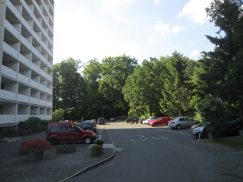 IMG 4382