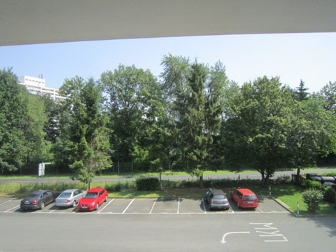 IMG 3194