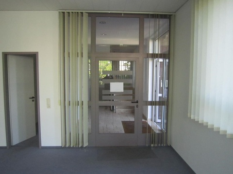 IMG 4428