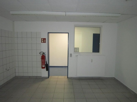 IMG 4206