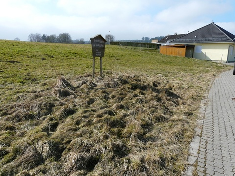 Grundstück (6)